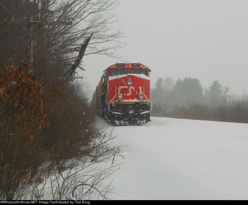 CN 2837